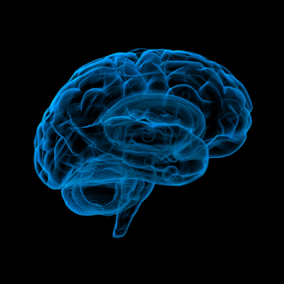 2026 NCH Neuro-oncology Tumor Board (RSS) Banner